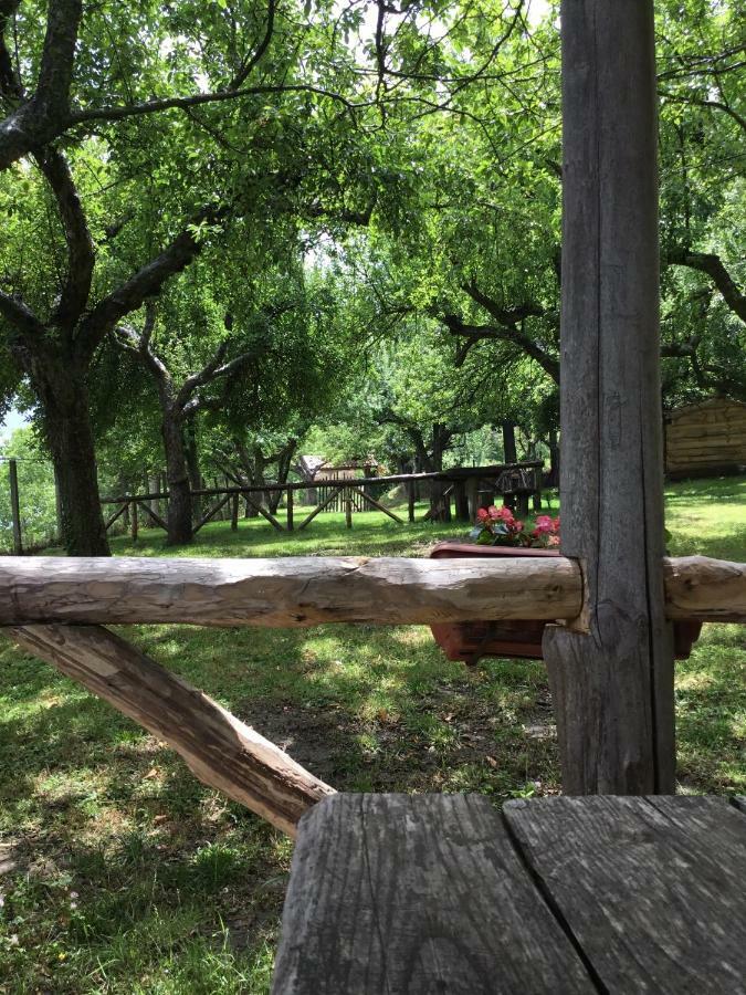 Agriturismo Carrozzino Sersale ภายนอก รูปภาพ